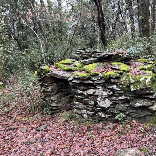 Occitanie Rando Bedarieux Pic Tantajo Roc Blanc 20