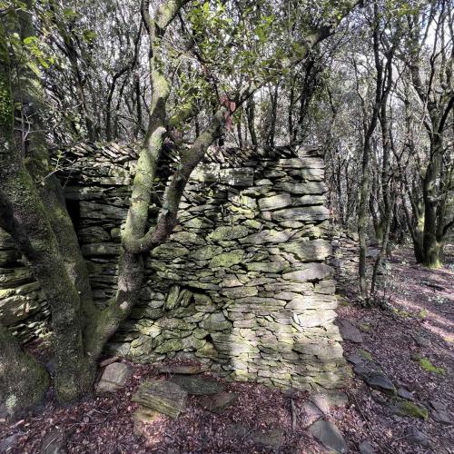 Occitanie Rando Bedarieux Pic Tantajo Roc Blanc 37