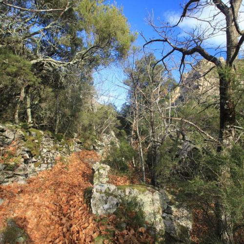 Occitanie Rando Randonnee Herault Saint Martin De Larcon Caroux 04