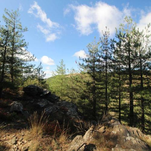 Occitanie Rando Randonnee Herault Combes Foret Ecrivains Combattants 03