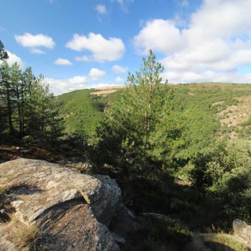 Occitanie Rando Randonnee Herault Combes Foret Ecrivains Combattants 05