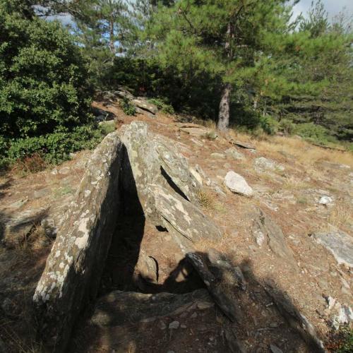 Occitanie Rando Randonnee Herault Combes Foret Ecrivains Combattants 06