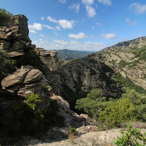 Occitanie Rando Randonnee Herault Combes Foret Ecrivains Combattants 10