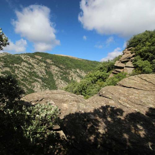 Occitanie Rando Randonnee Herault Combes Foret Ecrivains Combattants 11