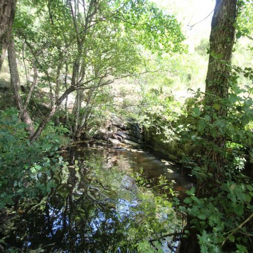 Occitanie Rando Randonnee Herault Combes Foret Ecrivains Combattants 13
