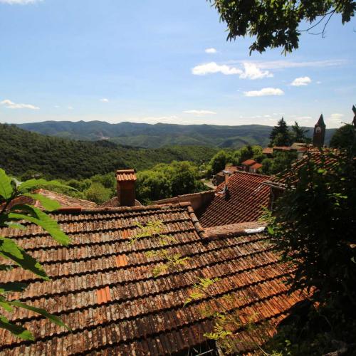 Occitanie Rando Randonnee Herault Combes Foret Ecrivains Combattants 14