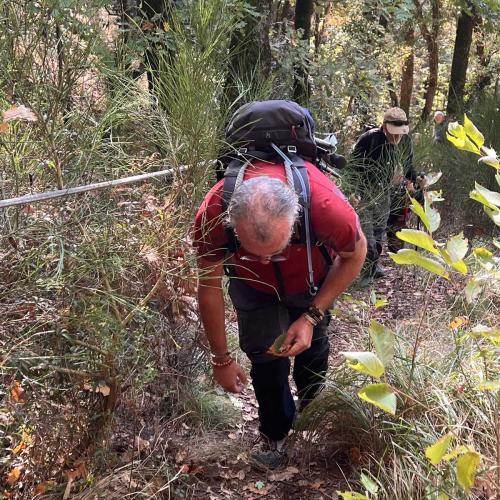 Occitanie Rando Trekking Graissessac Espaze Mine Monts Orb 74