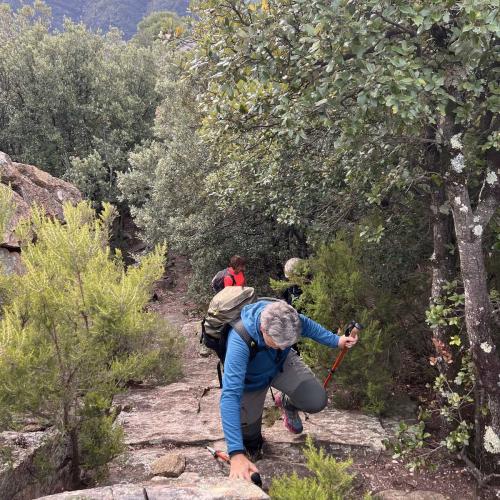 Occitanie Rando Randonnee Herault Caroux Seilhols Intiation Trekking 14