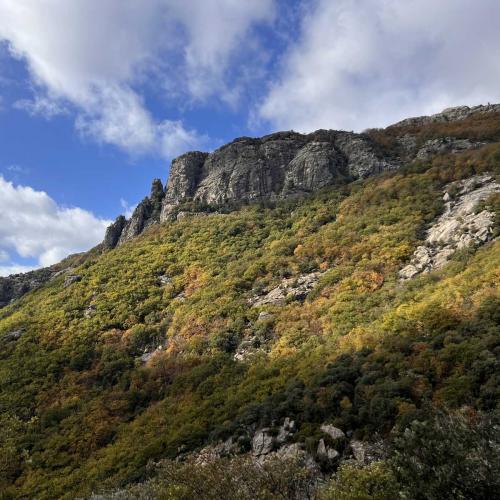 Occitanie Rando Randonnee Herault Caroux Seilhols Intiation Trekking 19