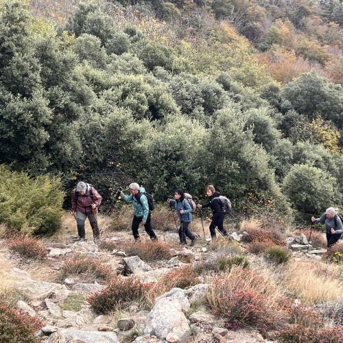 Occitanie Rando Randonnee Herault Caroux Seilhols Intiation Trekking 28