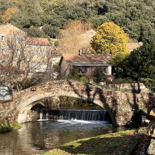 Occitanie Rando Trekking Saint Gervais Sur Mare Croix De Marcou 15