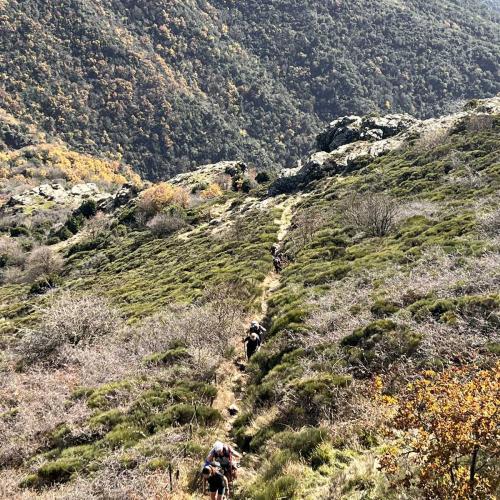 Occitanie Rando Trekking Saint Gervais Sur Mare Croix De Marcou 32