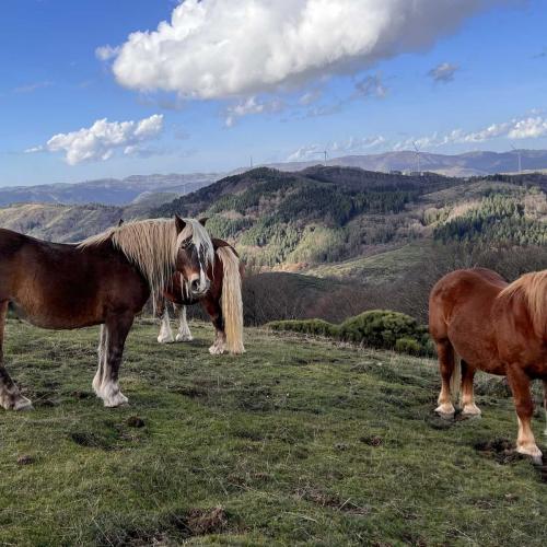 Occitanie Rando Trekking Saint Gervais Sur Mare Croix De Marcou 64