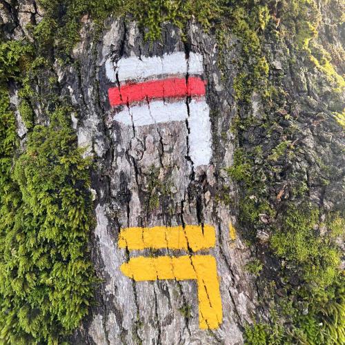 Occitanie Rando Trekking Saint Gervais Sur Mare Croix De Marcou 85