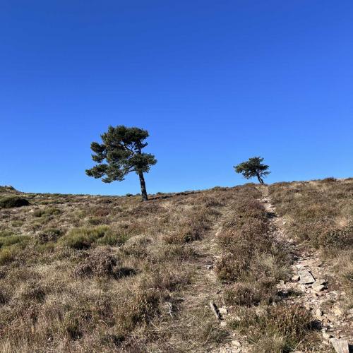 Occitanie Rando Trekking Saint Gervais Sur Mare Razigade Espinouse 105