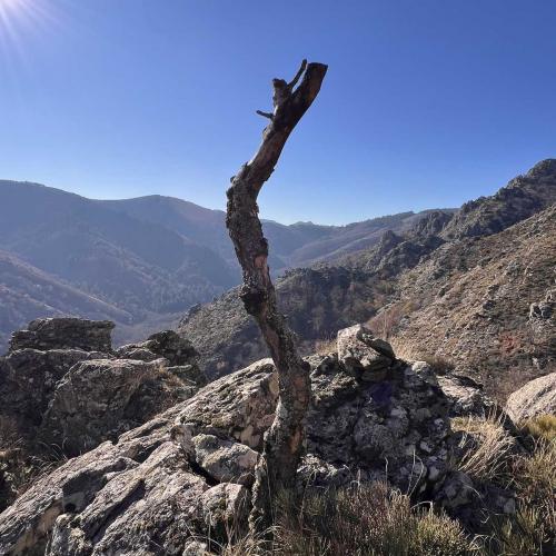 Occitanie Rando Trekking Saint Gervais Sur Mare Razigade Espinouse 98