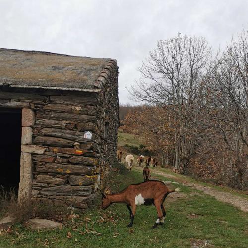 Occitanie Rando Randonnee Herault Saint Gervais Sur Mare Banissous 22
