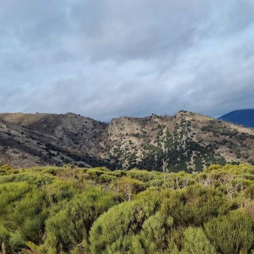 Occitanie Rando Randonnee Herault Saint Gervais Sur Mare Banissous 64