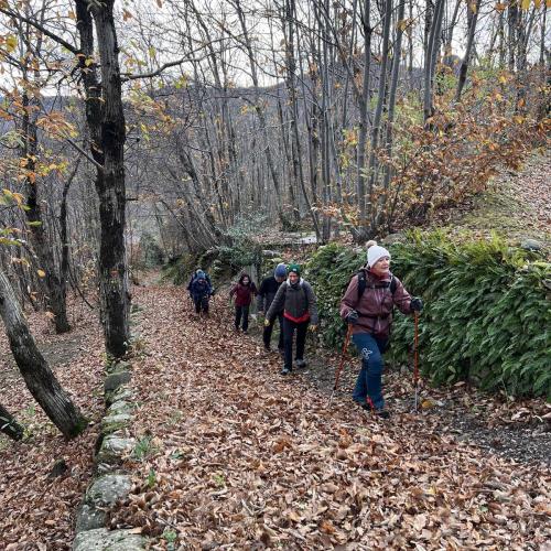 Occitanie Rando Randonnee Herault Saint Gervais Sur Mare Banissous 69