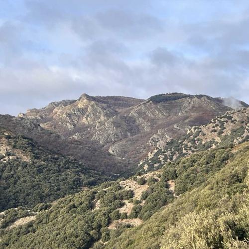 Occitanie Rando Randonnee Herault Saint Gervais Sur Mare Banissous 71