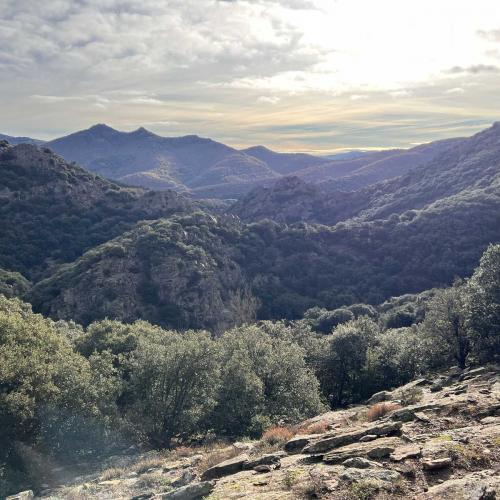 Occitanie Rando Randonnee Herault Saint Gervais Sur Mare Banissous 72