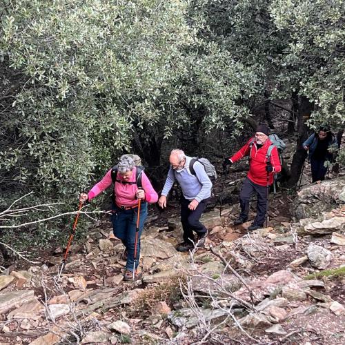 Occitanie Rando Randonnee Herault Saint Gervais Sur Mare Banissous 75