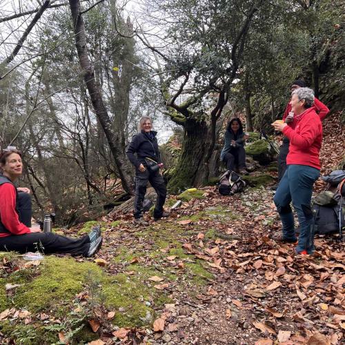 Occitanie Rando Randonnee Herault Saint Gervais Sur Mare Banissous 78