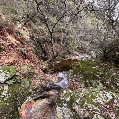 Occitanie Rando Randonnee Herault Saint Gervais Sur Mare Banissous 80