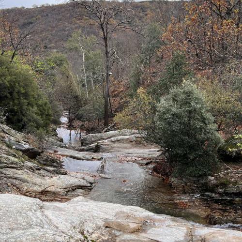 Occitanie Rando Randonnee Herault Saint Gervais Sur Mare Banissous 85