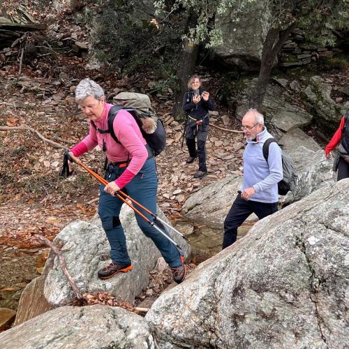 Occitanie Rando Randonnee Herault Saint Gervais Sur Mare Banissous 88
