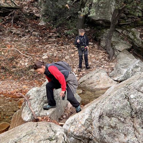 Occitanie Rando Randonnee Herault Saint Gervais Sur Mare Banissous 90