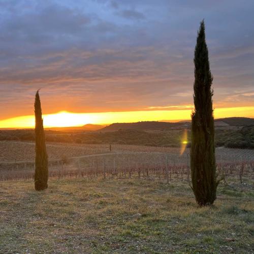 Occitanie Rando Trekking Grp Tour Minervois Faugeres 36km 12