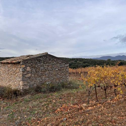Occitanie Rando Trekking Grp Tour Minervois Faugeres 36km 39