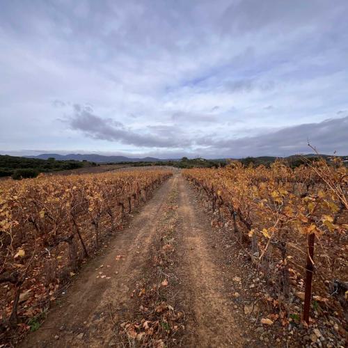 Occitanie Rando Trekking Grp Tour Minervois Faugeres 36km 42