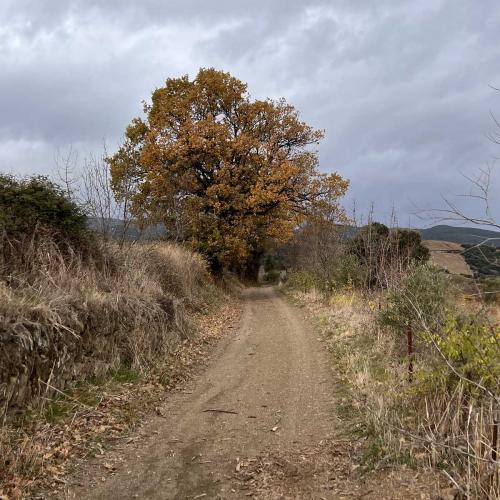 Occitanie Rando Trekking Grp Tour Minervois Faugeres 36km 48