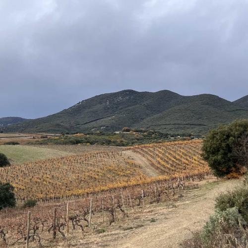 Occitanie Rando Trekking Grp Tour Minervois Faugeres 36km 50