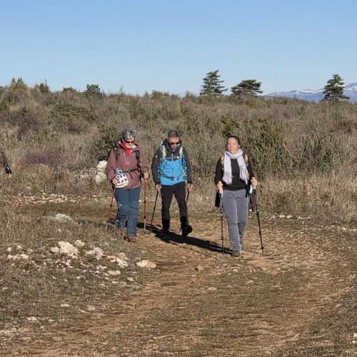 Occitanie Rando Rando Montpeyroux Mont Saint Baudille 16