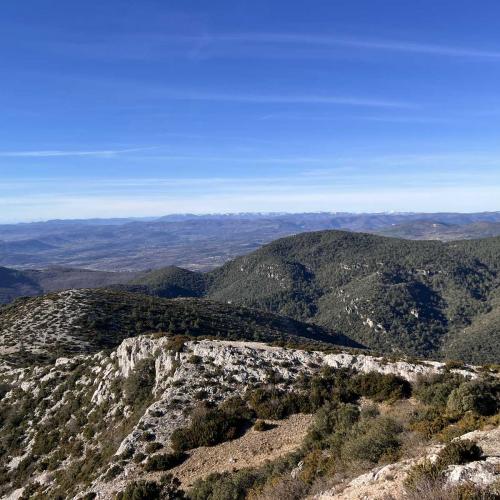 Occitanie Rando Rando Montpeyroux Mont Saint Baudille 55