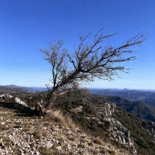 Occitanie Rando Rando Montpeyroux Mont Saint Baudille 63