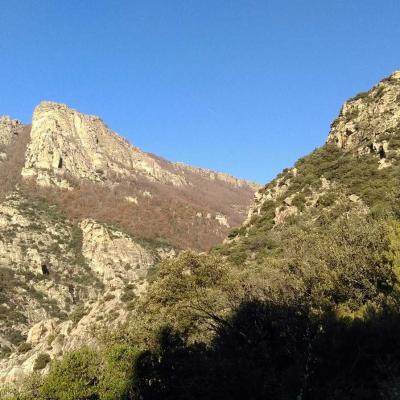Occitanie Rando Trekking Caroux Piste Buffes Seilhols Gte Lafage Colombieres Sur Orb 12