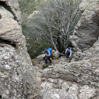Occitanie Rando Trekking Caroux Saint Martin Larcon Salesse Sentier Gardes Rieutord 78